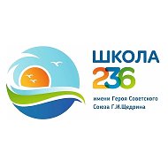 ГБОУ Школа №236