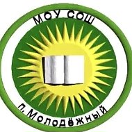 Канал МОУ сош го Молодёжный