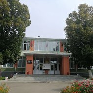 МОУ "СТРЕЛЕЦКАЯ СОШ"