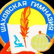 Шаховская гимназия