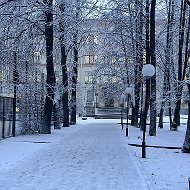ГБОУ Гимназия №67 Петроградского района Санкт-Петербурга