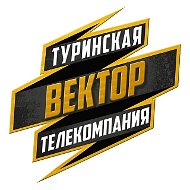 Туринская телекомпания «Вектор»