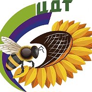 МАУ ДО ЦДТ Фурманов