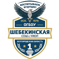 ОГБОУ «Шебекинская СОШ с УИОП»