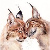 KatyaBobCat