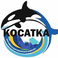 МБУ "СОК "Косатка"