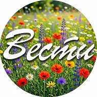 Газета "Вести" Партизанск