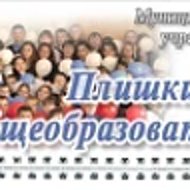 Плишкинская школа