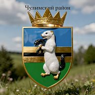 Чулымский район