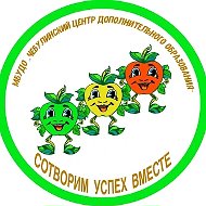 Чебулинский центр дополнительного образования