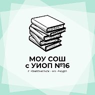 МОУ СОШ с УИОП № 16