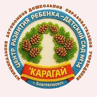 МАДОУ "ЦРР -детский сад №14'