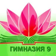 КАНАЛ МОУ гимназии №9
