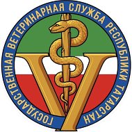ГУВ КМ РТ