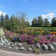МБОУ Борисовская сош Кузбасс