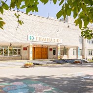 Гимназия имени Н.Д. Лицмана