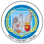 МАОУ «СОШ № 3 ИМ. ГЕРОЯ РФ В.С. ПАЛАМАРЧУКА»