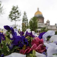 Комитет по благоустройству Санкт-Петербурга