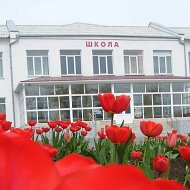 МБОУ СОШ 14