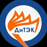 ОГБПОУ "Димитровградский технико-экономический колледж"