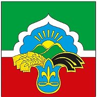 Бавлинский муниципальный район