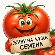 Живу на Алтае. Сад Огород