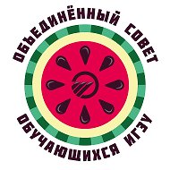 Объединенный совет обучающихся ИГЭУ (ОСО ИГЭУ)