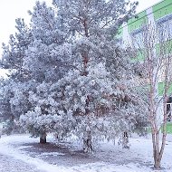 МАОУ СОШ 3 город Балаково