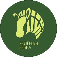 Зеленая Зебра официальный канал