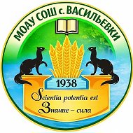 МОАУ СОШ с. Васильевки