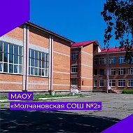 МАОУ "Молчановская СОШ № 2"