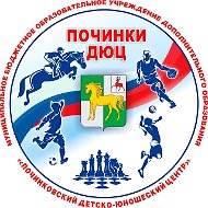 МБОУ ДО "Починковский ДЮЦ"