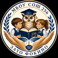 МБОУ СОШ 256