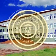МБОУ Шушенская СОШ N3