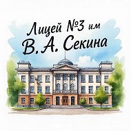 МАОУ "Лицей №3 им.Секина В.А" г.Стерлитамак