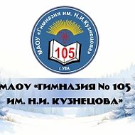 МАОУ «Гимназия № 105 им. Н.И. Кузнецова»