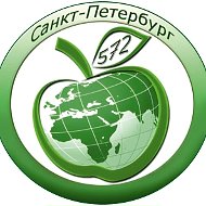 ГБОУ лицей № 572 Невского района Санкт-Петербурга