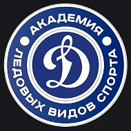 Академия «Динамо СПб»