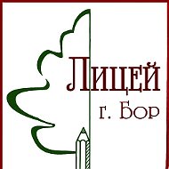МАОУ лицей г. Бор