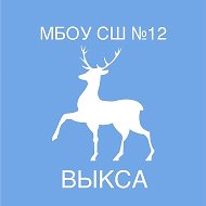 МБОУ СШ № 12 г. Выкса