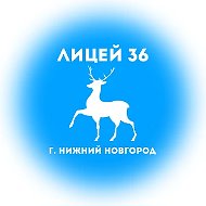 МАОУ Лицей №36