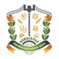 МОУ "Новосельская школа"