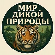 Мир дикой природы