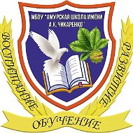 Школьная жизнь МБОУ "Амурская школа имени А.К.Чикаренко"