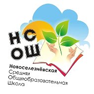 МАОУ Новоселезневская СОШ