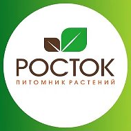 Питомник растений Росток. Саженцы