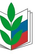 ГБОУ Средняя Школа № 491 Красногвардейского района Санкт-Петербурга