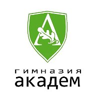 МАОУ Гимназия № 13 "Академ" г. Красноярск