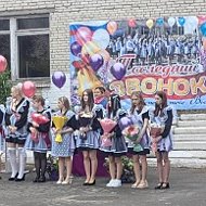 МАОУ "СОШ №1 г. Сольцы"  и  филиал МАОУ "СОШ №1 г. Сольцы" в д. Выбити