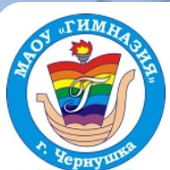 МАОУ "Гимназия" г. Чернушка Пермский край